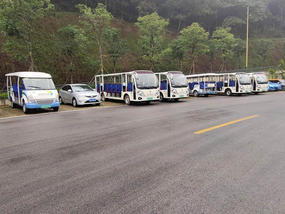 廣西·高峰森林公園觀光車案例圖片