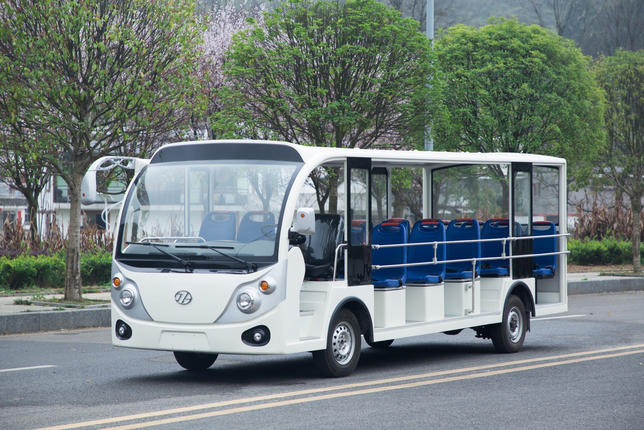 電動(dòng)觀光車(chē)